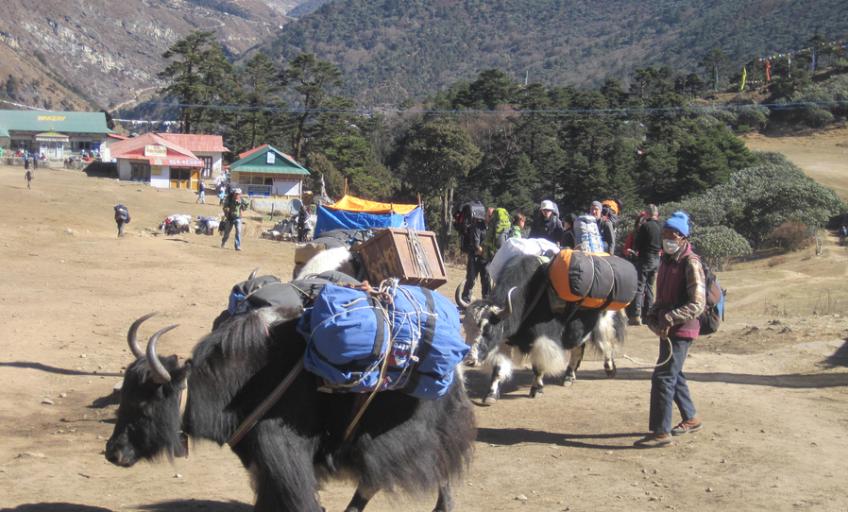 Sherpa Cultural Trek To Khumbu